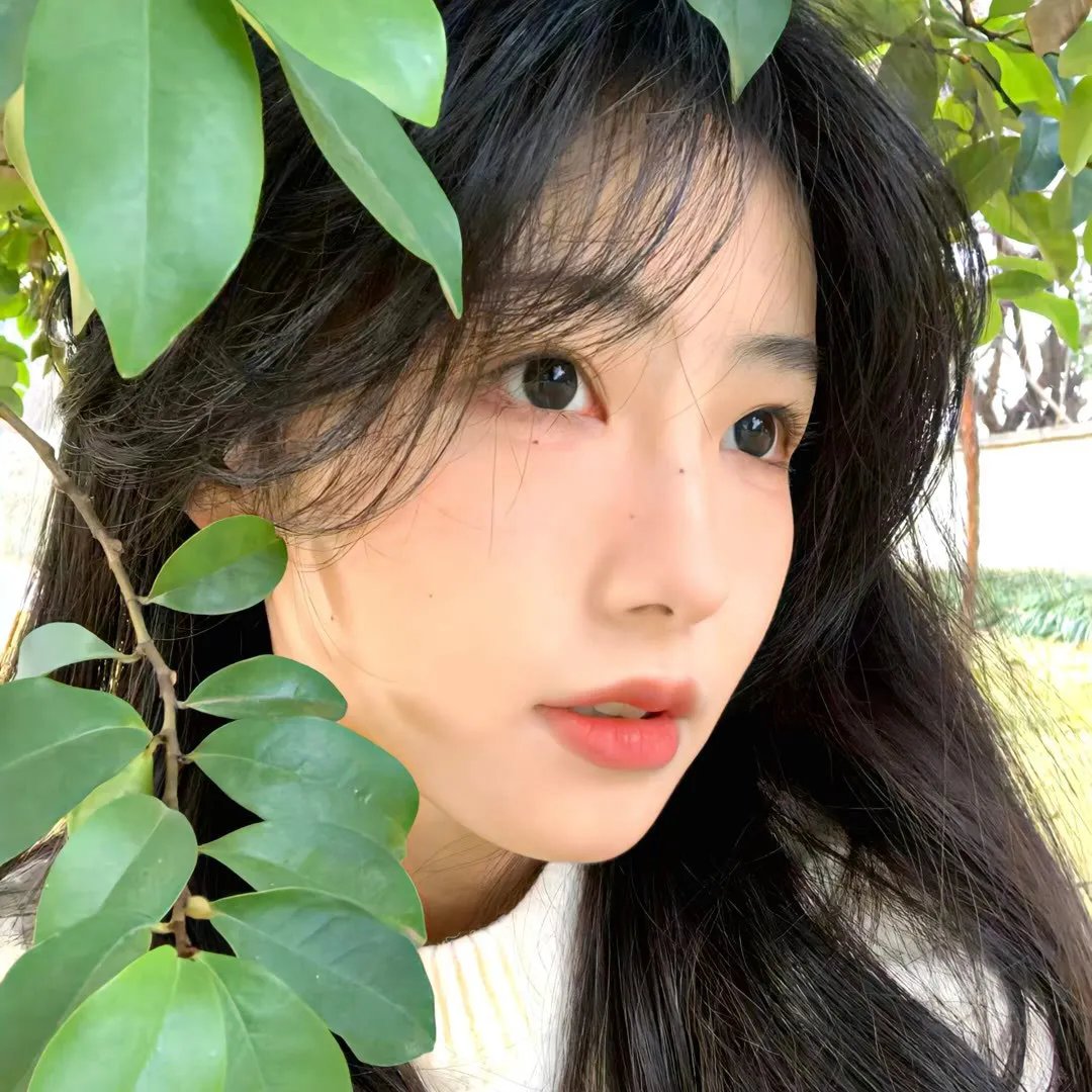 海边的女人
