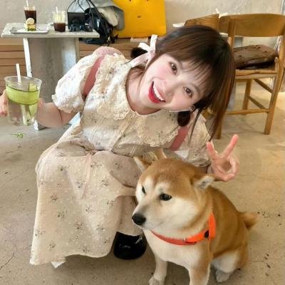 团宠奶奶不好惹